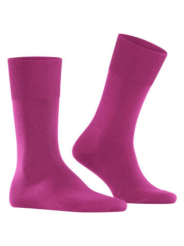 Falke Funktionssocken "ClimaWool" in Pink