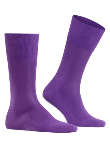 Falke Socken "Tiago" in Lila