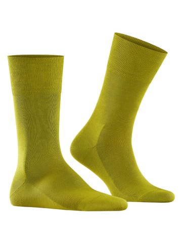 Falke Sokken "Tiago" in Olive