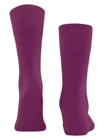 Falke Sokken "Tiago" paars