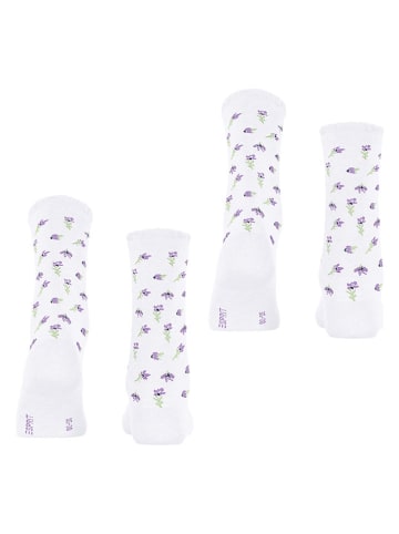 ESPRIT 2-delige set: sokken " Petite Flowers" wit