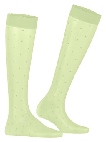 Falke Sokken "Dot" groen