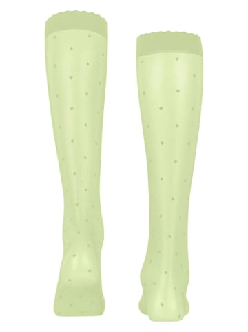 Falke Socken "Dot" in Grün