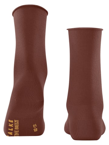 Falke Skarpety "Active Breeze" w kolorze brązowym