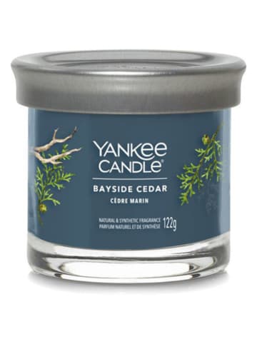 Yankee Candle Duftkerze "Bayside Cedar" - 122 g