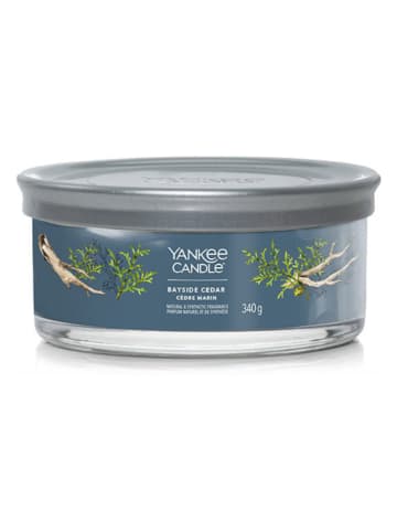 Yankee Candle Duftkerze "Bayside Cedar" - 340 g
