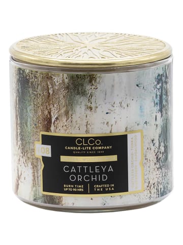 CANDLE-LITE Geurkaars "Cattleya Orchid" wit - 396 g