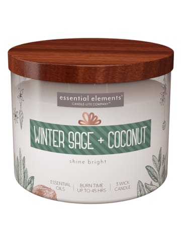 CANDLE-LITE Duftkerze "Winter Sage & Coconut" in Braun/ Weiß - 418 g
