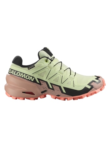 SALOMON Trailrunningschuhe "Speedcross 6 GTX" in Grün/ Rosa