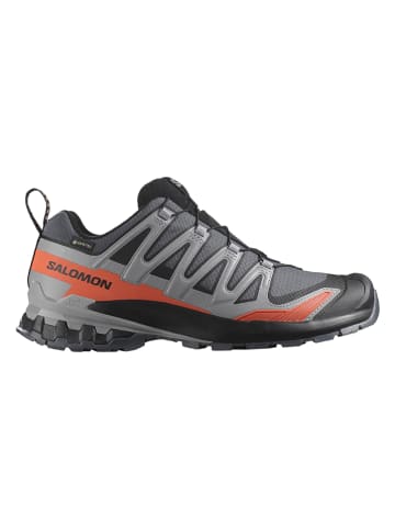 SALOMON Hardloopschoenen "XA Pro 3D V9 GTX" grijs/oranje