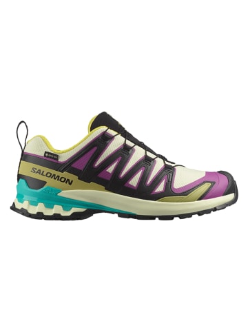 SALOMON Laufschuhe "XA Pro 3D V9 GTX" in Bunt