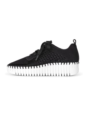 Ilse Jacobsen Sneakers in Schwarz