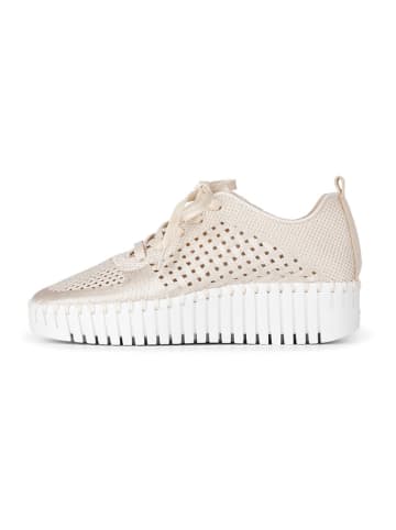 Ilse Jacobsen Sneakers in Creme