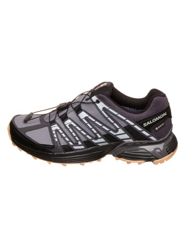 SALOMON Trekkingschoenen "XT Reckon GTX" grijs