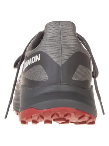 SALOMON Trailrunningschuhe "Ultra Flow" in Taupe