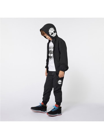 Timberland Sweathose in Schwarz