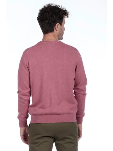 The Time of Bocha Trui lichtroze