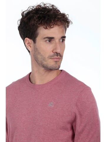 The Time of Bocha Pullover in Rosa