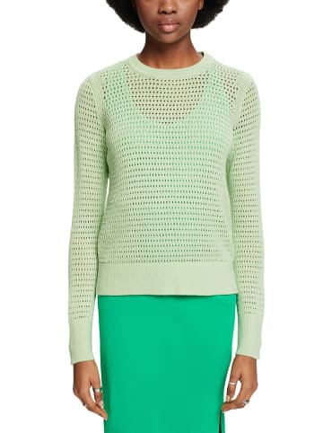 ESPRIT Pullover in Grün