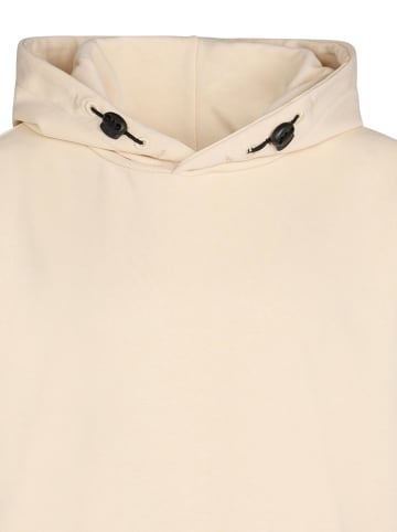 Petrol Industries Hoodie in Creme
