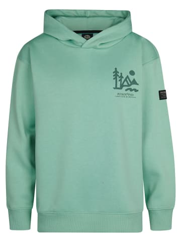 Petrol Industries Hoodie groen
