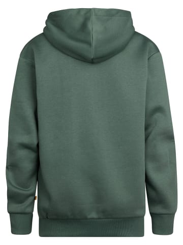 Petrol Industries Hoodie groen
