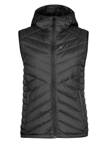 Halti Steppweste "Evolve Lite" in Schwarz