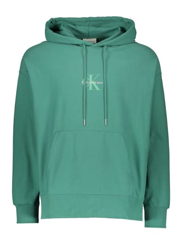 Calvin Klein Hoodie groen