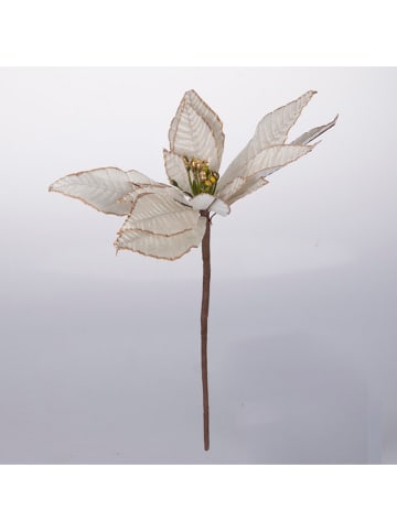 Villa d´Este Sztuczny kwiat ''Poinsettia'' w kolorze biało-złotym - 13 cm x Ø 25 cm