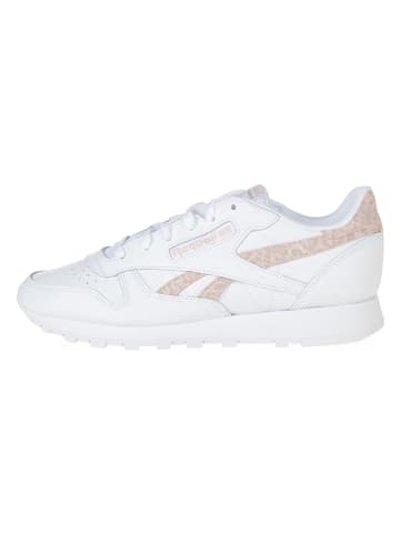 Reebok Sneakers in Weiß/ Beige