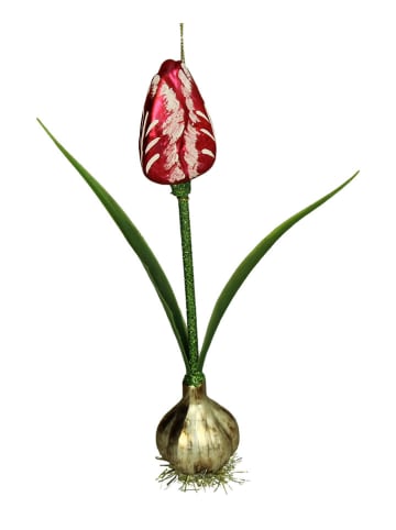 Kersten Ozdoba choinkowa "Tulip" w kolorze czerwono-zielonym - wys. 20,3 cm