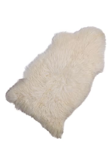 Kaiser Naturfellprodukte Lammfell in Creme