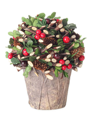 Bizzotto Sztuczna roślina "Eloise" w różnych kolorach - wys. 21 cm