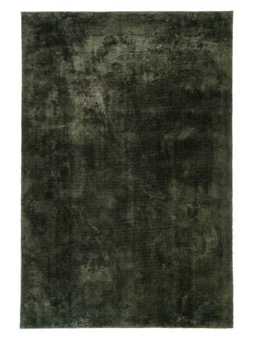 House Nordic Dywan "Miami" w kolorze zielonym - 230 x 160 cm
