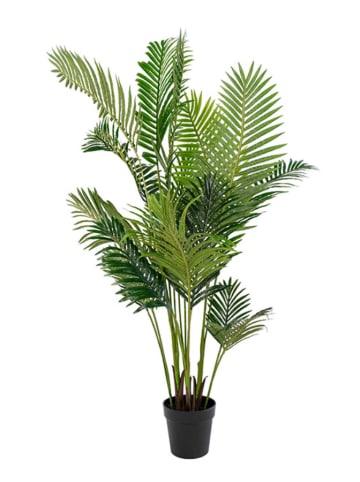 House Nordic Sztuczna roślina "Areca Palm" w kolorze zielonym - wys. 175 cm