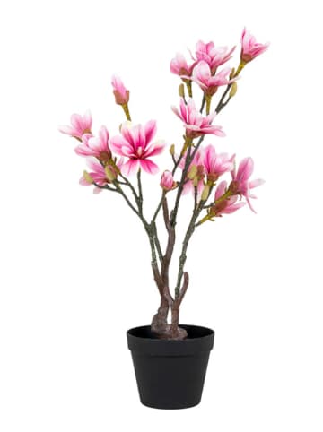 House Nordic Sztuczna roślina "Magnolia Tree" w kolorze różowym - wys. 75 cm