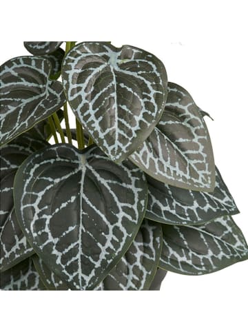 House Nordic Kunstplant groen - (H)33 cm