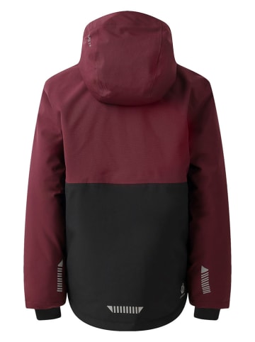 Dare 2b Ski-/ Snowboardjacke "Send It!" in Pflaume/ Rosa