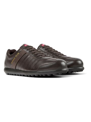 Camper Leder-Sneakers in Braun