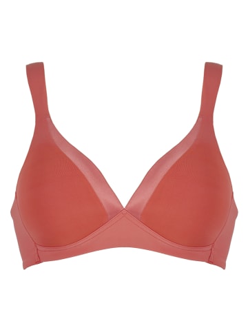 Naturana Soft-BH in Beere