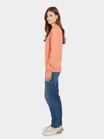 Didriksons Sweatshirt "Fyn" in Orange