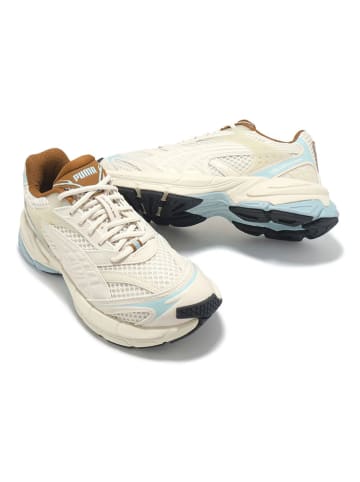 Puma Snekaers "Velophasis" in Beige/ Hellblau