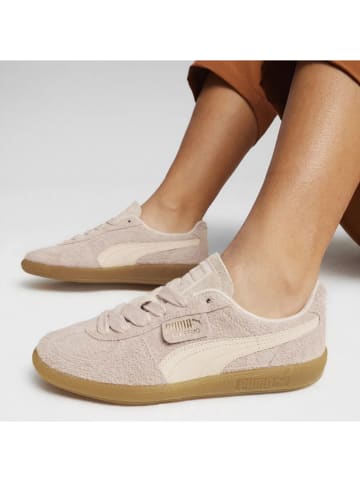 Puma Sneakersy "Palermo Hairy" w kolorze jasnoróżowym