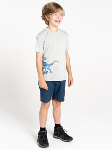 Dare 2b Funktionsshirt "Amuse II" in Grau