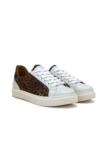 Goby Sneakers in Weiß/ Braun