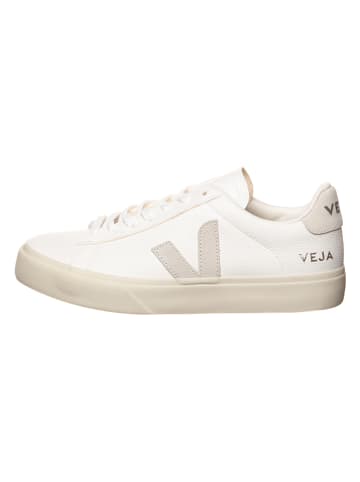 Veja Leder-Sneakers "Campo" in Weiß/ Creme