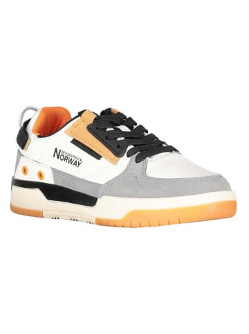 Geographical Norway Sneakersy "Olab" ze wzorem