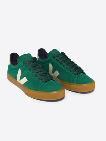 Veja Leder-Sneakers "Campo Bold" in Grün/ Creme