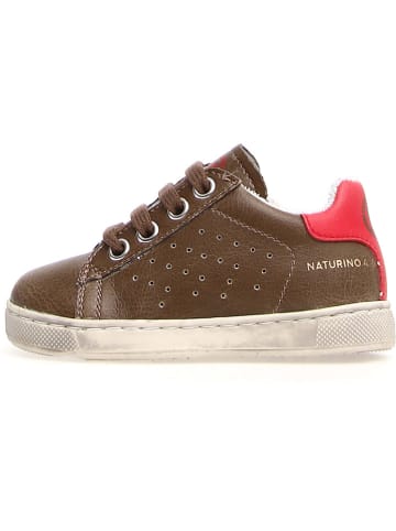 Naturino Leder-Sneakers "Hasselt" in Braun
