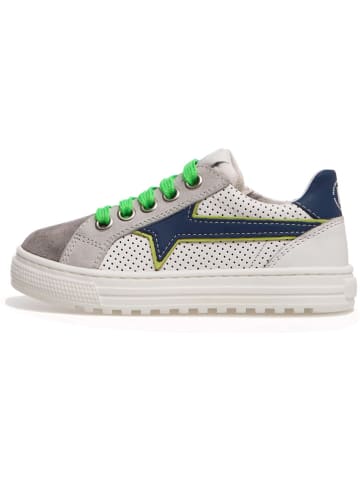 Naturino Leder-Sneakers "Blitz" in Weiß/ Grau